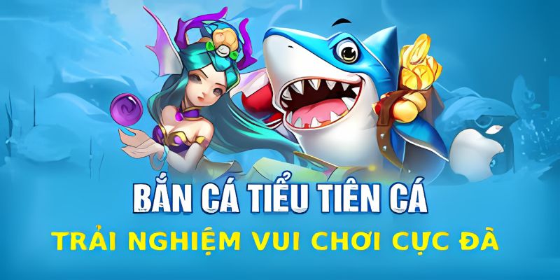 Hướng dẫn trải nghiệm nhanh chóng tại 8xbet