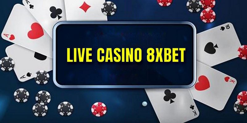 Các thông tin dành cho thành viên đam mê casino 8XBET