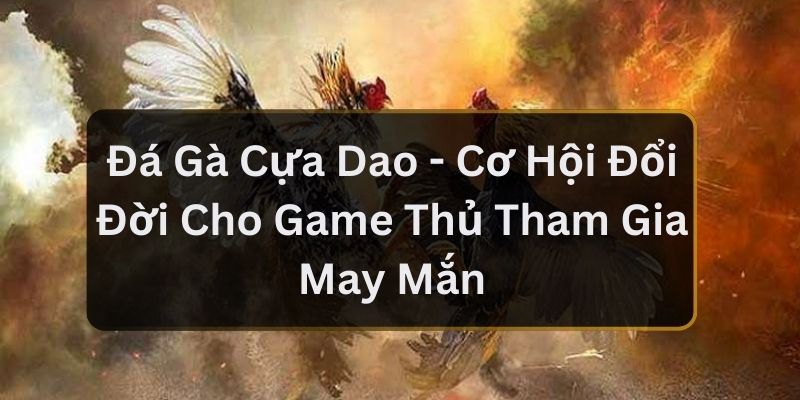 Đá Gà Cựa Dao - Cơ Hội Đổi Đời Cho Game Thủ Tham Gia May Mắn