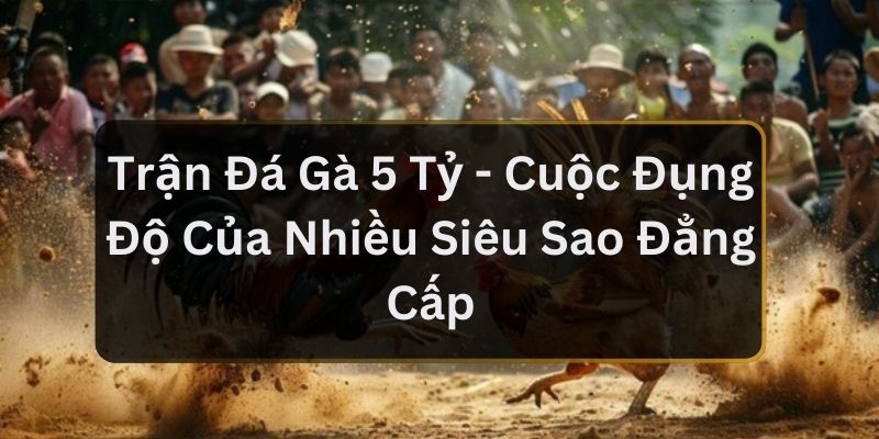 Trận Đá Gà 5 Tỷ - Cuộc Đụng Độ Của Nhiều Siêu Sao Đẳng Cấp